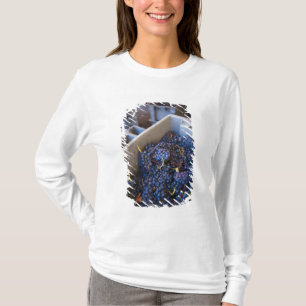 Bodega Marques de Riscal winery, grapes T-Shirt