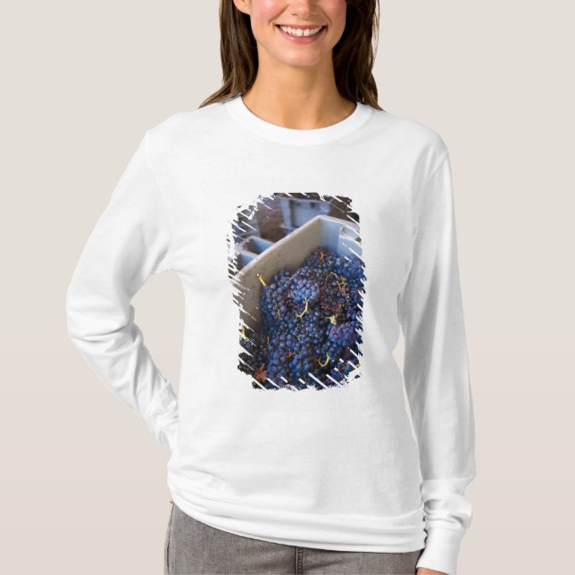 Bodega Marques de Riscal winery, grapes T-Shirt (Front)