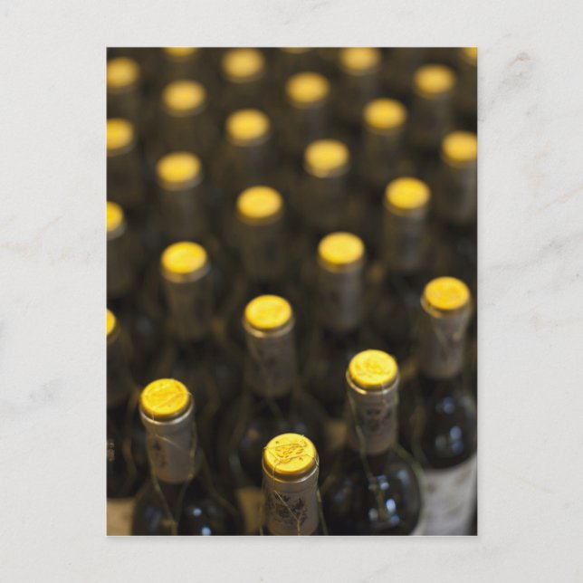 Bodega Marques de Riscal winery, wine bottles Postcard (Front)