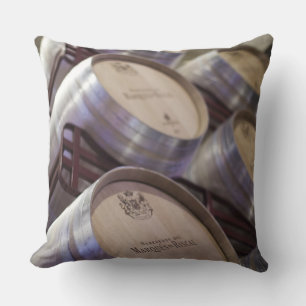 Bodega Marques de Riscal winery, wine cellar 2 Throw Pillow
