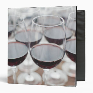 Bodega Marques de Riscal winery, wine tasting 3 Binder