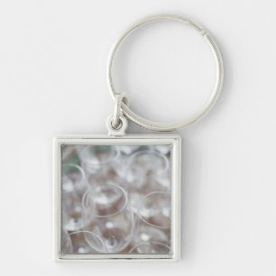 Bodega Marques de Riscal winery, wine tasting Keychain
