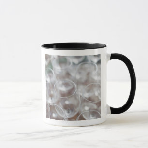 Bodega Marques de Riscal winery, wine tasting Mug
