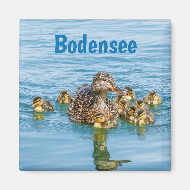 Bodensee Ducks with Ducklings Magnet (Front)