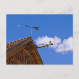 Bodie Ghost Town Point The Way Postcard