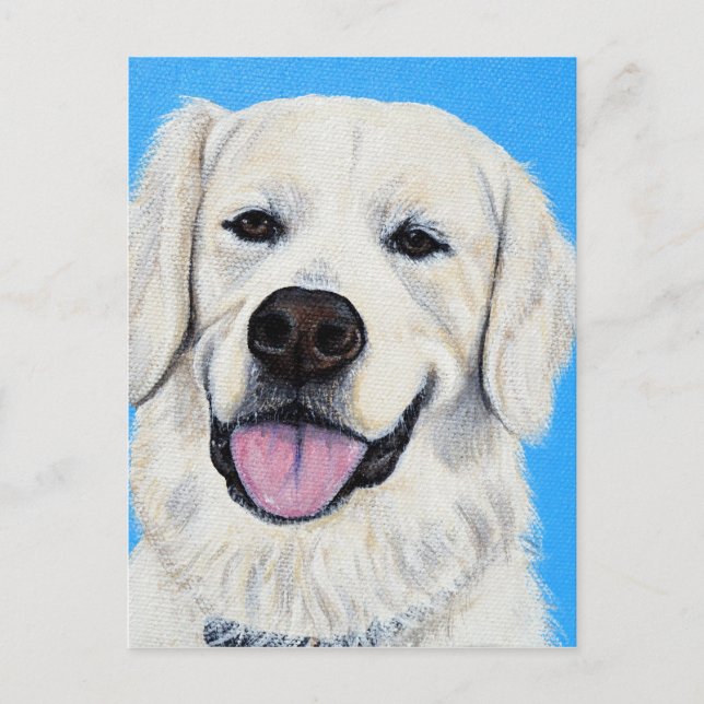 Bodie - Golden Retriever Postcard (Front)