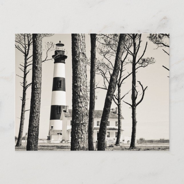 Bodie Island Lighthouse. Postcard (Front)