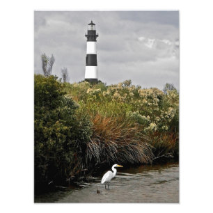 Bodie Island Lighthouse With Egret Photo Print