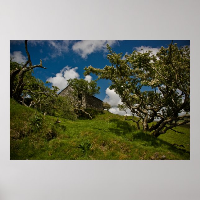 Bodmin Moor Poster (Front)