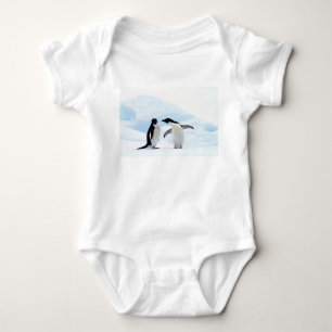 Body Adelie Penguins