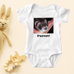 Body Adorable Sable Ferret Photo