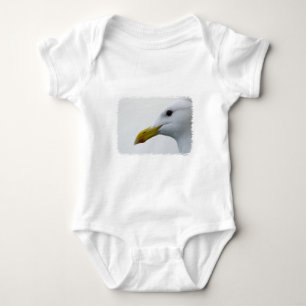 Body Amical Seagull ?