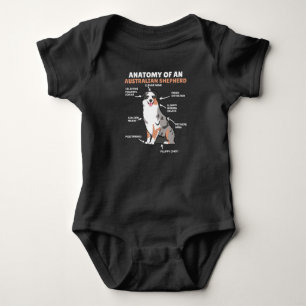 Body Anatomie D'Un Berger Australien Chiens Doux