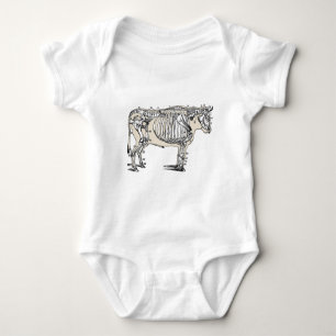 Body Antique Cow Skeleton Bones