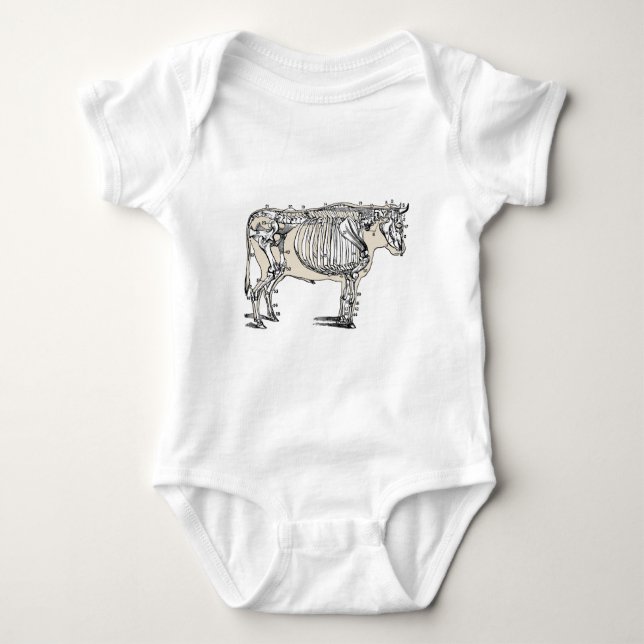 Body Antique Cow Skeleton Bones (Devant)