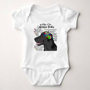 Body Atlas noir de cerveau de Labrador