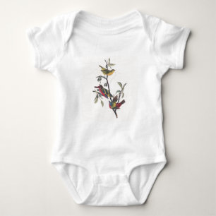 Body Audubon Peint Bunting Bird Wildlife