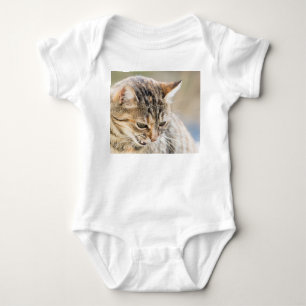 Body Beau chat