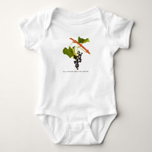 Body Bébé vintage de raisins