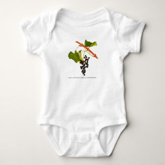 Body Bébé vintage de raisins