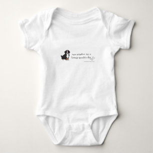 Body bernese mountain dog - plus de races