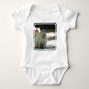 Body capybara-12.jpg