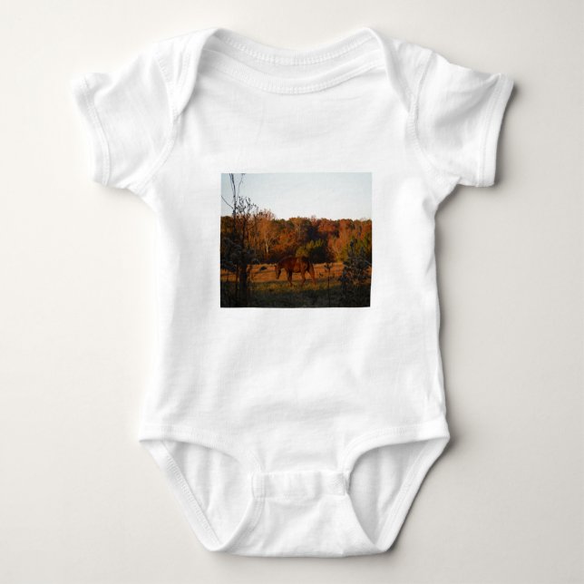 Body Cheval Brown rouge, bois d'automne. (Devant)