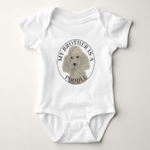Body Chien Caniche Gris Argent