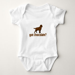 Body Chocolat Labrador