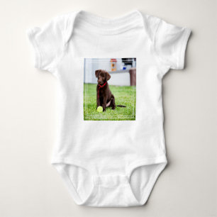 Body Chocolat Labrador Puppy Avec Tennis Ball