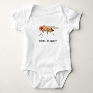 Body Combinaison de bébé de drosophile
