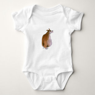 Body Corgi de Gallois, fernandes élégants