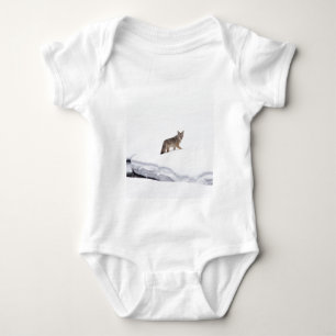 Body Coyote
