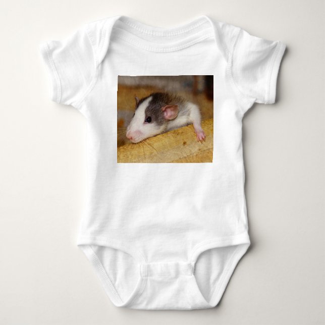 Body Cute rat (Devant)