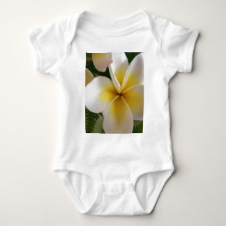 Body Frangipani
