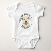 Frère Terrier Wheaten