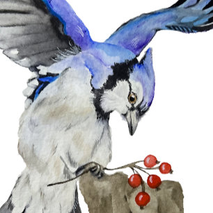 Body Geai bleu oiseau de la forêt à l'aquarelle