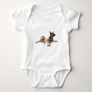 Body german shepherd and golden retriever