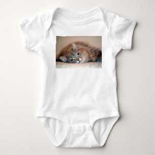 Body Gris, Tan, chat aux cheveux longs blanc par