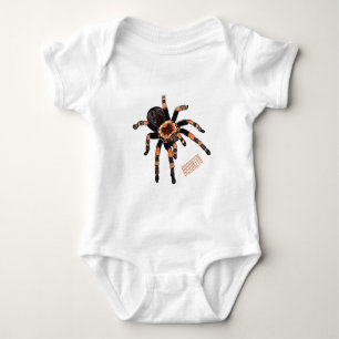 Body Illustration de Tarantula