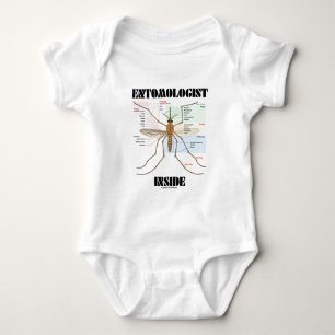 Body Intérieur d'entomologiste (anatomie de moustique)