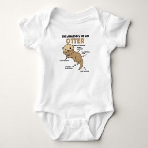 Body Jolie Otter Explication Anatomie D'Une Otter