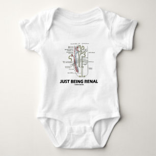 Body Juste étant rénal (néphron de rein)