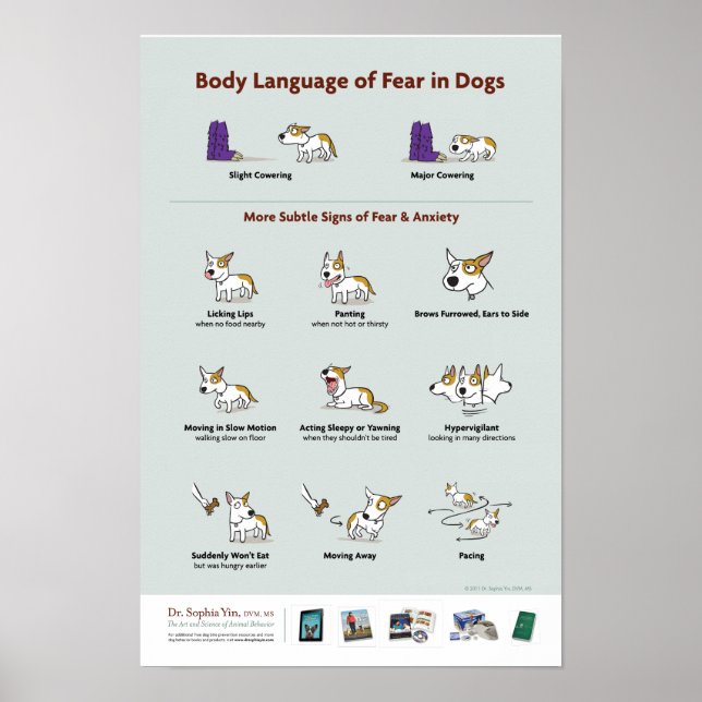 Body Language of Fear in Dogs Poster (Front)