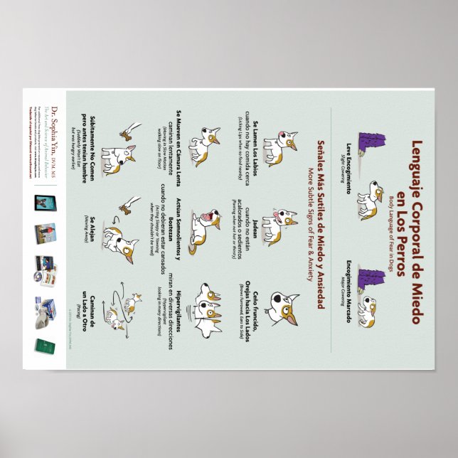 Body Language of Fear in Dogs Poster (Spanish) (Front)