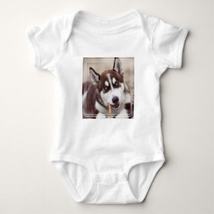 Body Le chiot sibérien Husky à la plage