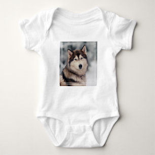 Body Le magnifique Husky en plein air