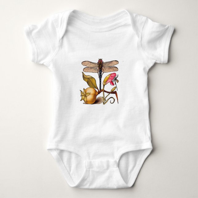 Body Libellule Botanique Nature Faune (Devant)