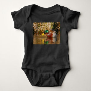 Body Mallard assis dans l'eau