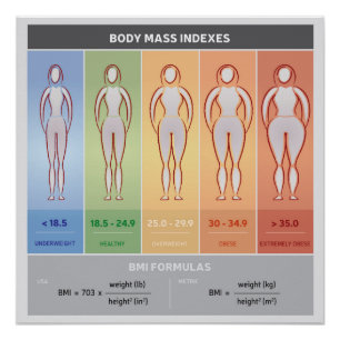 Body Mass Index Illustration with Body Silhouettes Poster